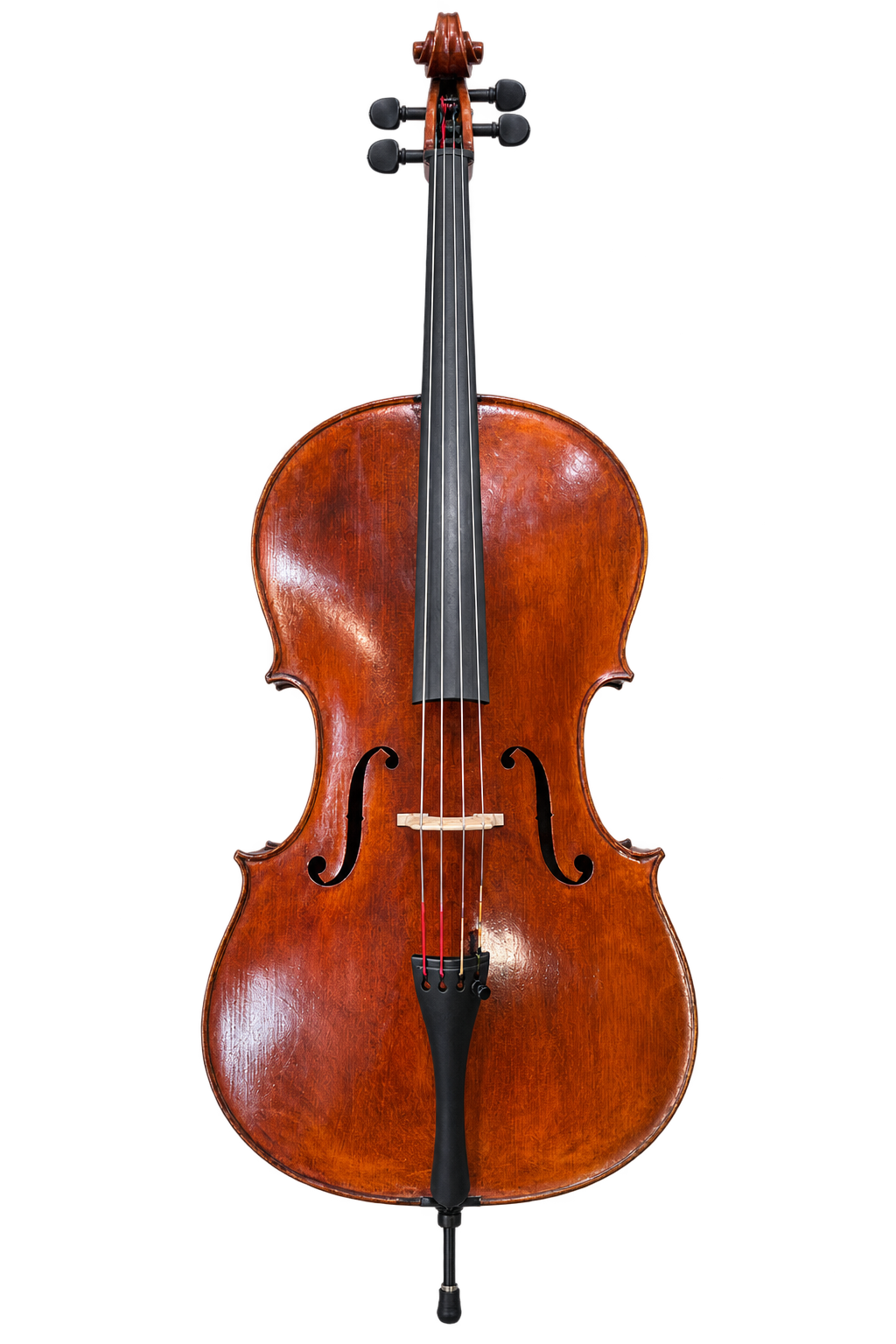 Front view of the cello bearing a Peter Sieben label, with warm reddish-brown varnish